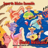 Narrativa: Bienvenidos A Fiesta Mexicana! artwork