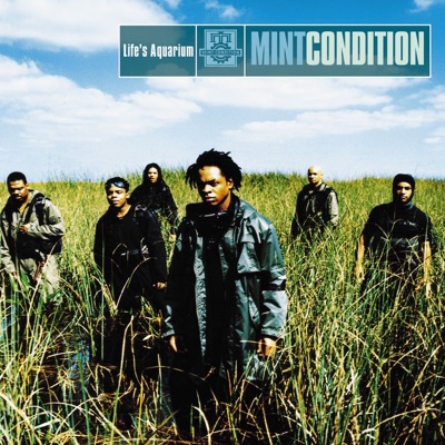 Life's Aquarium - Mint Condition