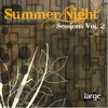 Summer Night Sessions, Vol. 2, 2009