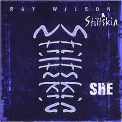 She - Ray Wilson