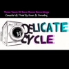 Delicate Cycle (3 Years of Save Room Recordings)