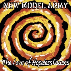 THE LOVE OF HOPELESS CAUSES cover art