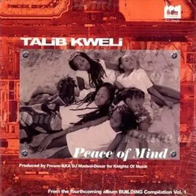 Peace of Mind - Single - Talib Kweli