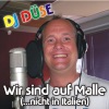 Wir sind auf Malle (... nicht in Italien) - Single