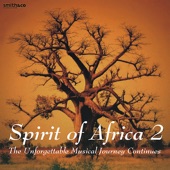 Spirit of Africa (2) artwork