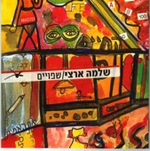 שפויים artwork