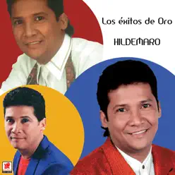 Los Exitos de Oro - Hildemaro Los Exitos de Oro - Hildemaro