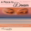 A Place to Dream, 2007