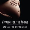 Vivaldi for the Womb (Music For Pregnancy)