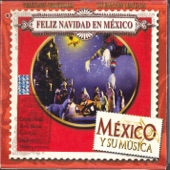 Feliz Navídad en México artwork