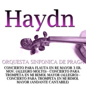 Clásica-Haydn artwork