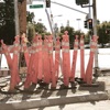 I Sing The Body Electric - Brandywine