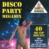 Disco Party Megamix artwork