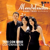 Mendelssohn: Piano Trios, Op. 49 & Op. 66 artwork