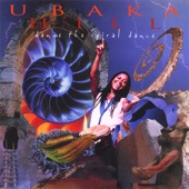 Ubaka Hill - The Singing in the Silence
