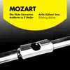 Mozart: The Flute Concertos & Andante In C Major album lyrics, reviews, download