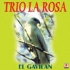 El Gavilan