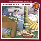 Weather Report - Young and Fine