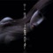 Half Moon Waxing - Cooya lyrics