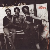 The Pointer Sisters - The Shape I'm In