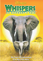 Dereck Joubert - Whispers: An Elephant's Tale artwork