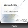 Wonderful Life (F.T. & Company Edit) - Single
