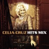 Hits Mix, 2002