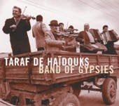 Taraf de Haïdouks - The Return of the Magic Horses