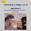 Strauss Ii, J.: Edition - Vol. 19, 1991