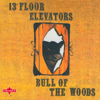 13th Floor Elevators - Bull of the Woods artwork