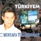 Türkiyem artwork