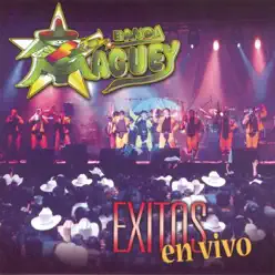 Banda Maguey: Éxitos en Vivo - Banda Maguey