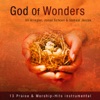 God of Wonders, 2008