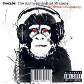 Cookie: The Anthropological Mixtape artwork