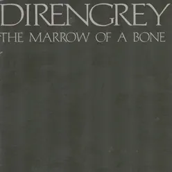 The Marrow of a Bone - Dir en Grey