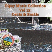 Gipsy Music Collection Vol. 13 artwork