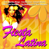 Fiesta Latina artwork