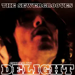 Guided by Delight - The Sewergrooves