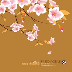 Fabio Nobile - Didn't You Know (Gerardo Frisina Main Mix)
