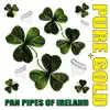 Pure Gold Pan Pipes of Ireland album lyrics, reviews, download