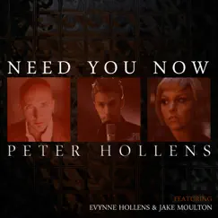 Need You Now (A Cappella) [feat. Evynne Hollens & Jake Moulton] - Single by Peter Hollens album reviews, ratings, credits
