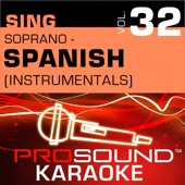 Amor Prohibido (Karaoke Instrumental Track) [In the Style of Selena] artwork
