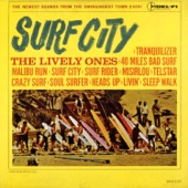 The Lively Ones - Crazy Surf