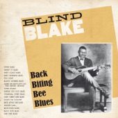 Blind Blake: Back Biting Bee Blues artwork