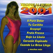 Tropicalisimo 2001 artwork