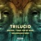 Tonic for My Mind (Original Mix) [feat. Trilucid] - Trilucid lyrics