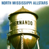 North Mississippi Allstars - I'D Love To Be A Hippy