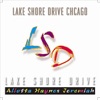 Lake Shore Drive Chicago - Single