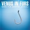 In questa città (feat. Appino, Bartolo & Motta) - Venus In Furs lyrics