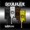 Soulflex - System Vicious